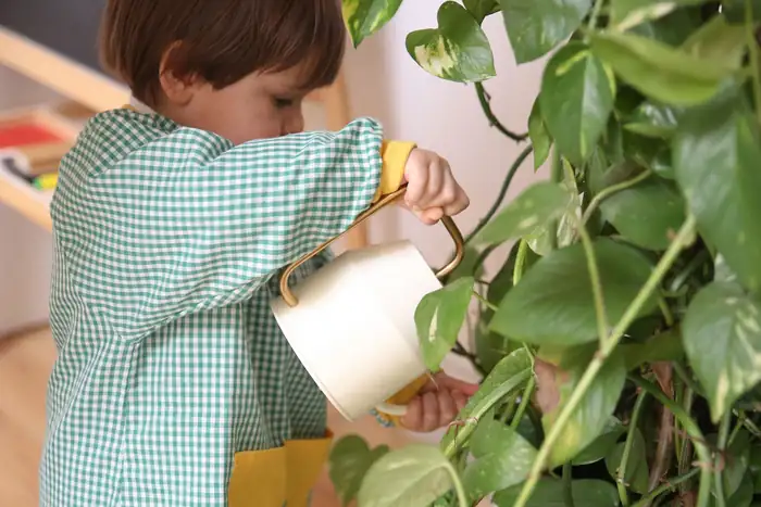 Regando las plantas del aula